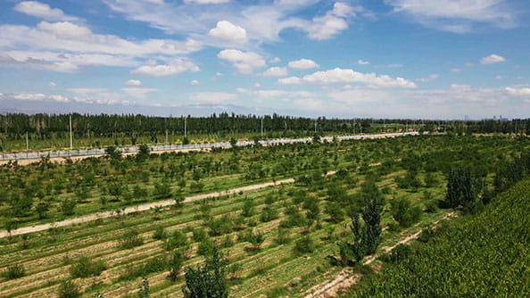 情暖少数民族少女项目视频封面图